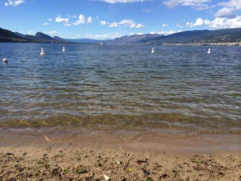 The dog beach on the south side of the Okanagan Lake - our first stop.